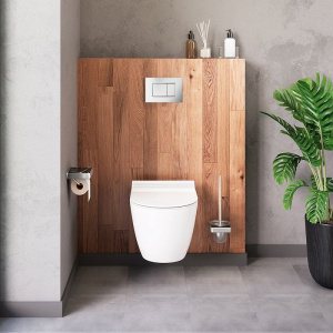 Купить Комплект Damixa Apollo DX22.IS10151.1700 с безободковым унитазом, кнопка смыва хром глянцевая в Москве с доставкой Комплект Damixa Apollo DX22.IS10151.1700 с безободковым унитазом, кнопка смыва хром глянцевая