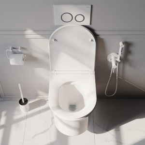 Унитаз подвесной IDDIS Sena SENRDSEi25 безободковый, с микролифтом