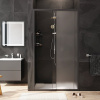Душевая дверь в нишу AM.PM Gem Solo W90G-110-1-195BM 110 см