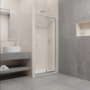 Душевая дверь в нишу RGW Passage PA-02 (770-900)х1850 EasyClean