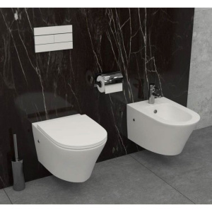 Купить Унитаз подвесной Jacob Delafon Rodin+ EDY102-00 в Москве с доставкой Унитаз подвесной Jacob Delafon Rodin+ EDY102-00