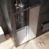 Душевая дверь в нишу AM.PM Gem Solo W90G-100-1-195BM 100 см