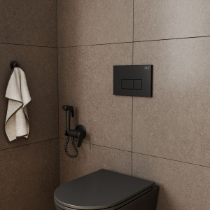 Кнопка смыва D&K Rhein, черная