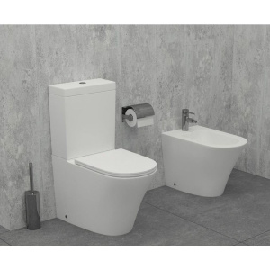 Биде напольное Jacob Delafon Rodin+ EBJ0002-00