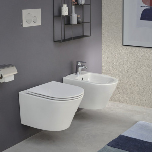 Купить Биде подвесное Jacob Delafon Rodin+ EMJ0002-00 в Москве с доставкой Биде подвесное Jacob Delafon Rodin+ EMJ0002-00