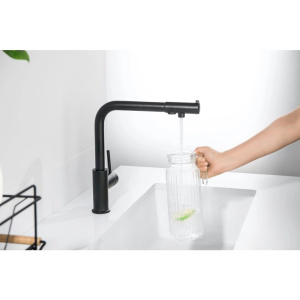 Смеситель для кухни Aquatek Европа AQ1386MB черный