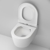 Унитаз подвесной AM.PM Func C8F1700MWSC безободковый, с микролифтом, матовый белый
