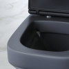 Унитаз подвесной AM.PM Inspire V2.0 FlashClean C50A1700MBSC безободковый, черный матовый