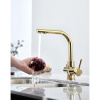 Смеситель для кухни Paulmark Essen Es213011-G, золото
