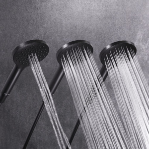 Душевая лейка AM.PM Like F0280022 черная