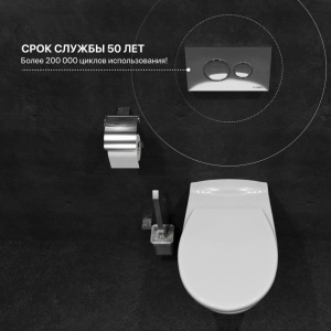 Купить Кнопка смыва DIWO 7312 хром в Москве с доставкой Кнопка смыва DIWO 7312 хром