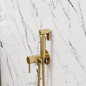 Гигиенический душ Wasserkraft Sauer A70738 со смесителем, С ВНУТРЕННЕЙ ЧАСТЬЮ, глянцевое золото PVD