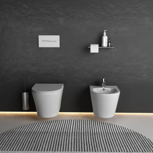 Купить Биде подвесное Ceramicanova Forma CN3012 в Москве с доставкой Биде подвесное Ceramicanova Forma CN3012