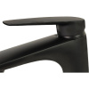 Смеситель для раковины Paini Laguna LAYO205 черный матовый