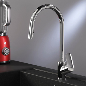 Смеситель для кухни AM.PM Like F8012000