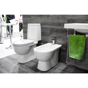 Унитаз-компакт Sanita luxe Fest SL DM