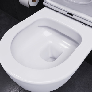 Купить Комплект Унитаз подвесной Damixa Sirius DX86C1700SC с микролифтом + Инсталляция в Москве с доставкой Комплект Унитаз подвесной Damixa Sirius DX86C1700SC с микролифтом + Инсталляция