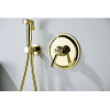 Смеситель для душа Aquatek Классик AQ1566PG полированное золото