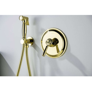 Смеситель для душа Aquatek Классик AQ1566PG полированное золото