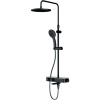 Душевая стойка AM.PM Inspire V2.0 F0750A522 с термостатом, черная