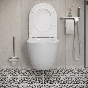 Унитаз подвесной Damixa Apollo DX22C1700SC с микролифтом, безободковый