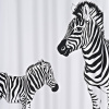 Штора для ванной Ridder Zebra 42311