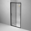 Душевая дверь в нишу AM.PM Gem Solo W90G-100-1-195BM 100 см