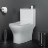 Унитаз-моноблок BelBagno Lounge BB8618CPR-MN/SC безободковый, с микролифтом
