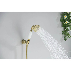 Душевая лейка Aquatek Классик 76 AQ2008PG полированное золото