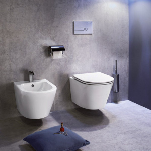 Купить Биде подвесное Jacob Delafon Rodin+ EMJ0002-00 в Москве с доставкой Биде подвесное Jacob Delafon Rodin+ EMJ0002-00