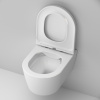 Унитаз подвесной AM.PM Func C8F1700SC безободковый, с микролифтом