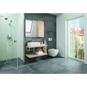 Раковина Roca Mila 732700B000