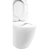 Унитаз-компакт BelBagno Amanda BB051CPR безободковый, крышка BB051SC с микролифтом, бачок BB051T