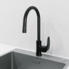Смеситель для кухни Laparet Lisera N2042429LPT с выдвижным изливом, черный