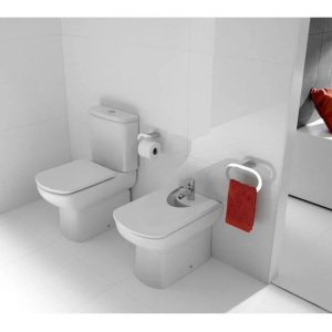 Купить Чаша напольного унитаза Roca Dama Senso 342517000 в Москве с доставкой Чаша напольного унитаза Roca Dama Senso 342517000