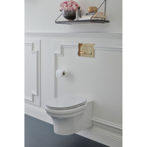 Купить Унитаз подвесной Jacob Delafon Cleo EDZ102-0 с микролифтом в Москве с доставкой Унитаз подвесной Jacob Delafon Cleo EDZ102-0 с микролифтом