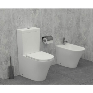 Купить Унитаз-компакт Jacob Delafon Rodin+ UJAB102-00 в Москве с доставкой Унитаз-компакт Jacob Delafon Rodin+ UJAB102-00