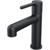 Смеситель для раковины IDDIS AIGBL00i01 черный матовый