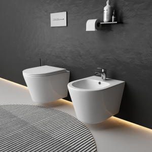 Купить Биде подвесное Ceramicanova Forma CN3012 в Москве с доставкой Биде подвесное Ceramicanova Forma CN3012