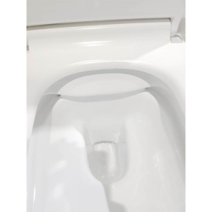 Купить Унитаз подвесной Ceruttispa Maiella Aria 9164 MW безободковый, с микролифтом, белый матовый в Москве с доставкой Унитаз подвесной Ceruttispa Maiella Aria 9164 MW безободковый, с микролифтом, белый матовый