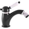 Смеситель для биде Rav Slezak Labe L545.5KCMATC черный матовый хром