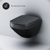 Унитаз подвесной AM.PM Inspire V2.0 FlashClean C50A1700MBSC безободковый, черный матовый