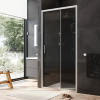 Душевая дверь в нишу AM.PM Gem Solo W90G-100-1-195MG 100 см