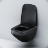 Унитаз подвесной AM.PM Inspire V2.0 FlashClean C50A1700MBSC безободковый, черный матовый