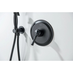 Смеситель для душа Aquatek Классик AQ1566MB черный