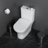 Унитаз-моноблок BelBagno Lounge BB8618CPR-MN/SC безободковый, с микролифтом