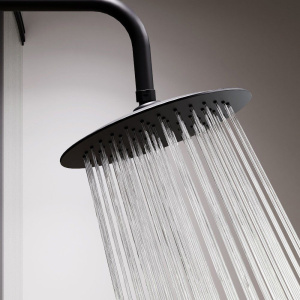 Верхний душ Damixa Scandinavian Pure 936050300 черный