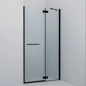 Душевая дверь в нишу IDDIS Slide SLI6BH1i69 110 см