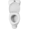 Унитаз-компакт Santeri Воротынский белый