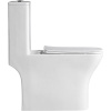 Унитаз-моноблок BelBagno Neon BB8617CPR-MN/SC безободковый, с микролифтом